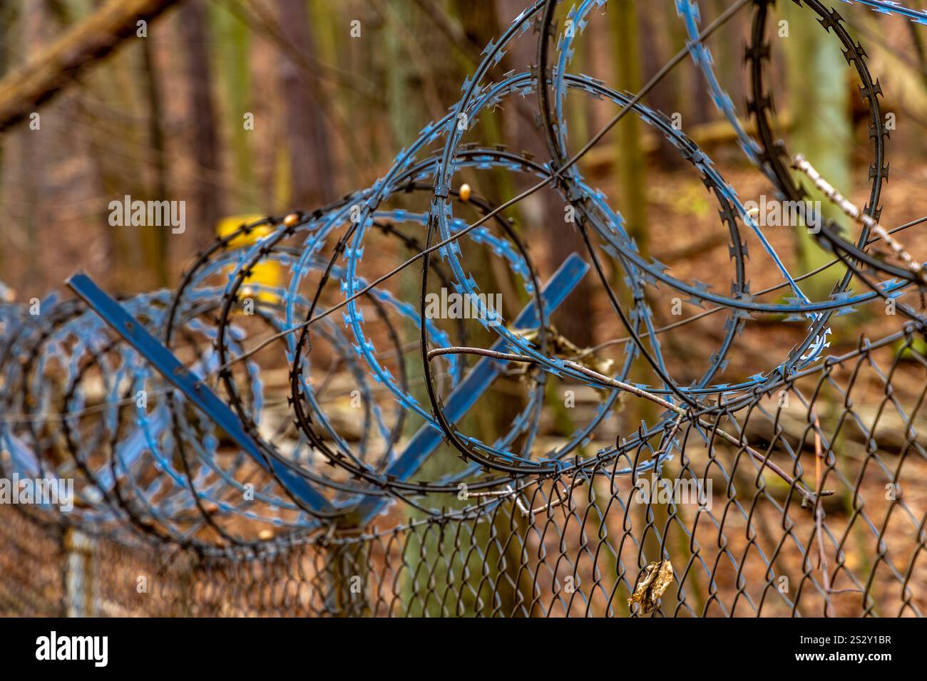 Fosses de feu dans la forêt sur la côte à Gdynia, monuments militaires, positions d'artillerie, lieux historiques de la seconde Guerre mondiale Banque D'Images