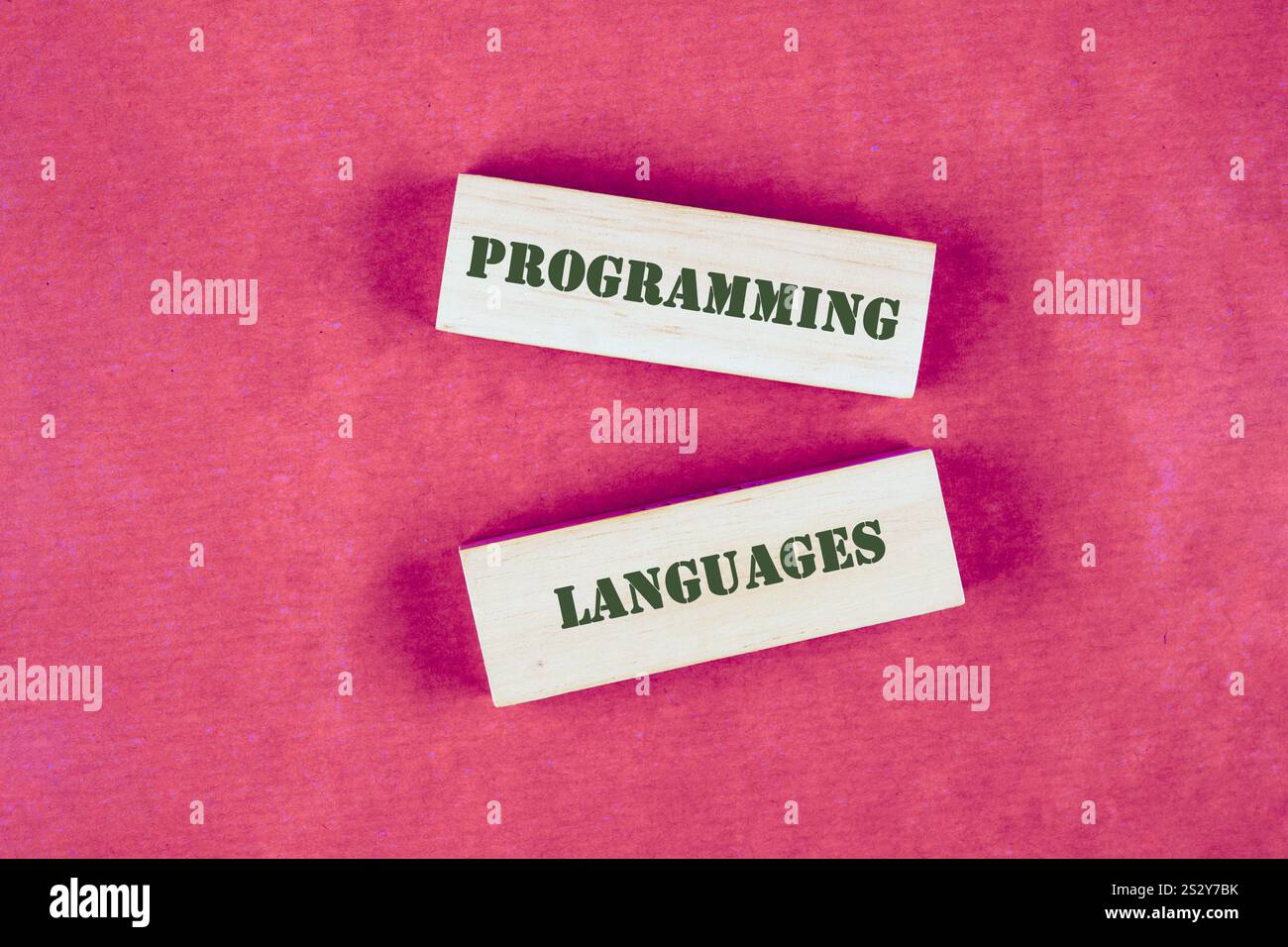 Deux blocs affichent les mots programmation et langues sur un fond rose vif, suggérant un thème éducatif axé sur les compétences en codage. Banque D'Images