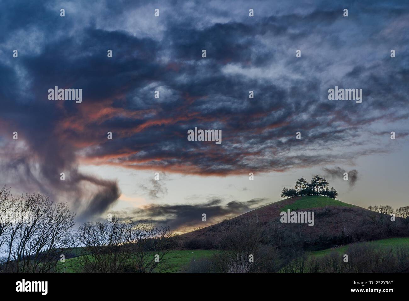 Colmer's Hill, Bridport lors d'une soirée d'hiver orageuse au crépuscule avec des formations de nuages tourbillonnantes et les arbres sur la colline silhouettent contre le ciel qui s'estompe. Banque D'Images