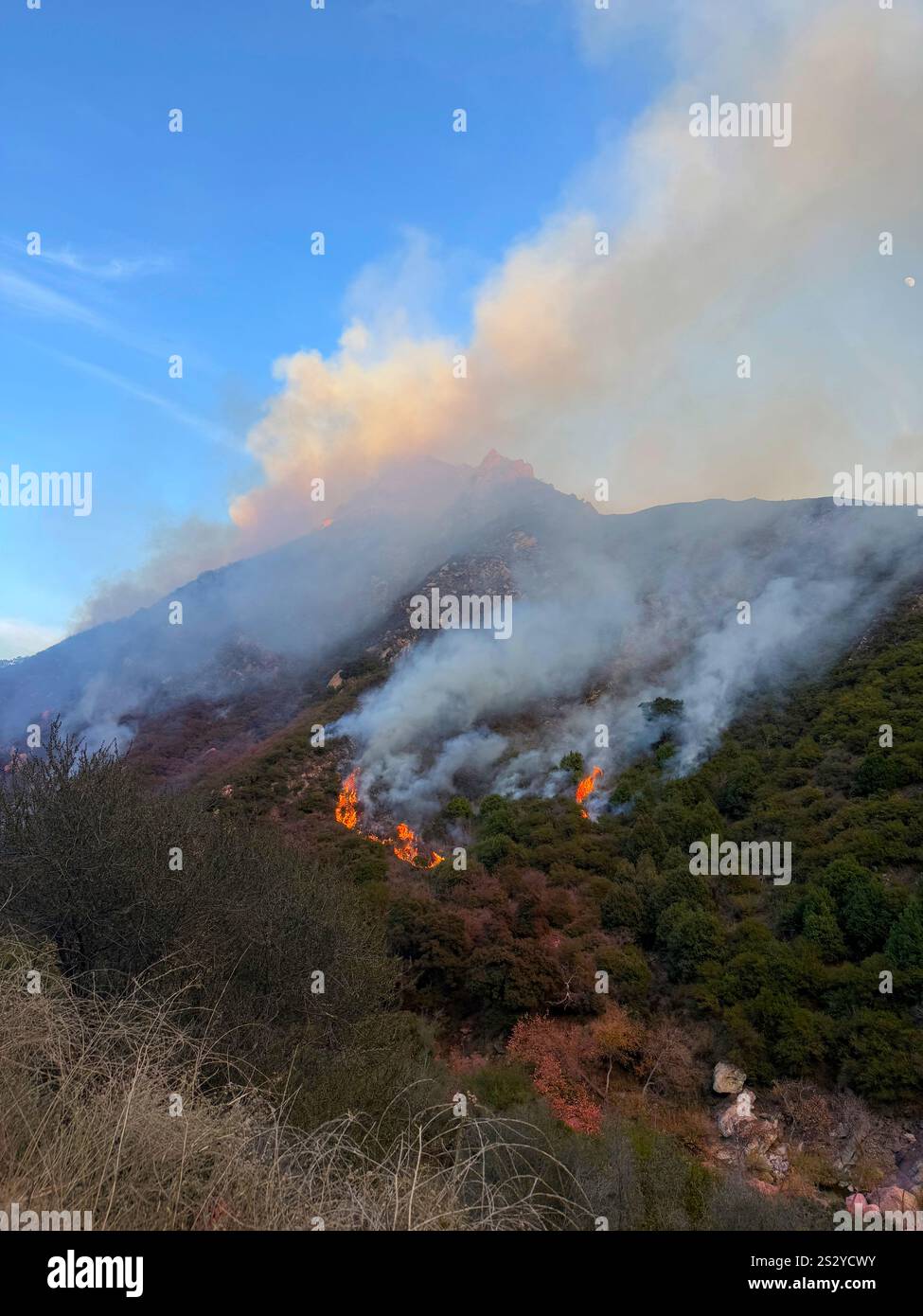 COMTÉ DE LOS ANGELES, CALIFORNIE, États-Unis - 13 décembre 2024 - Un canyon en feu dans le comté de Los Angeles, Californie, États-Unis pendant l'incendie de Franklin. Le Wildfir Banque D'Images