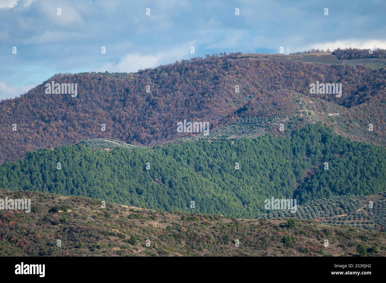 Collines verdoyantes et paysage de basse montagne autour de Berat, Albanie Banque D'Images