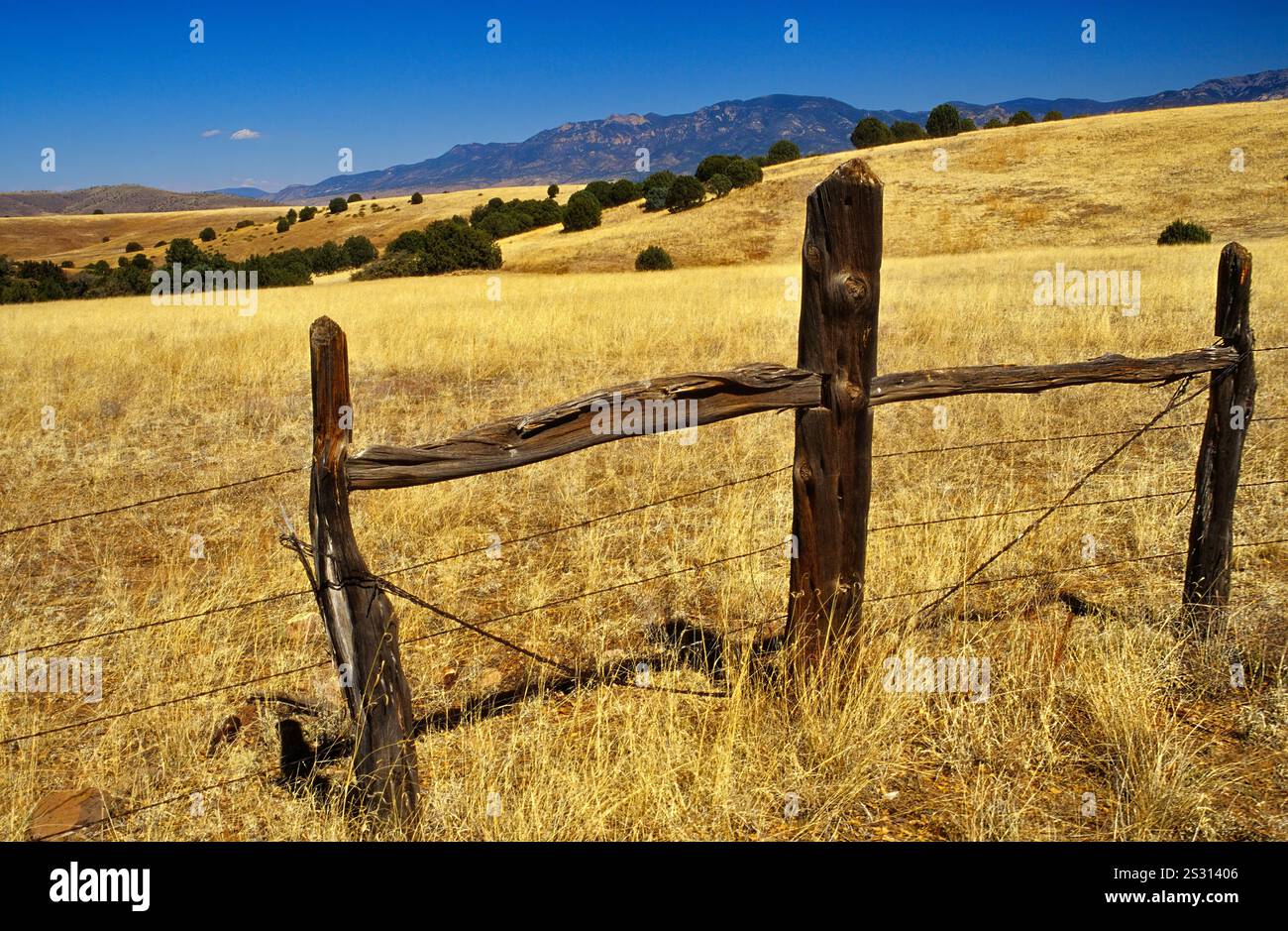 Ranch Gate, collines, montagnes Mogollon à distance, près de Mule Creek, Nouveau Mexique, États-Unis Banque D'Images