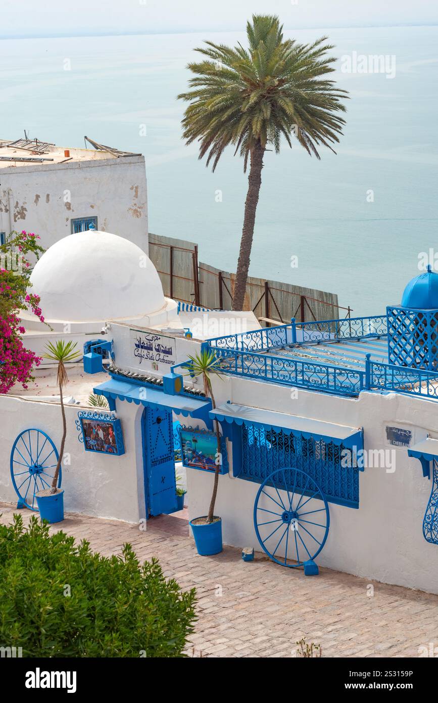 17 mai 2024. Sidi Bou Said, Tunisie. Café des délices ou Café Sidi Chabaane, le café le plus célèbre de Sidi Bou Said, l'un des meilleurs endroits pour boire du cof Banque D'Images 17 mai 2024. Sidi Bou Said, Tunisie. Café des délices ou Café Sidi Chabaane, le café le plus célèbre de Sidi Bou Said, l'un des meilleurs endroits pour boire du cof Banque D'Images