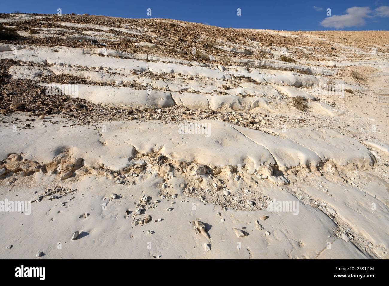 Pente rocheuse blanche dans le Néguev, Israël Banque D'Images