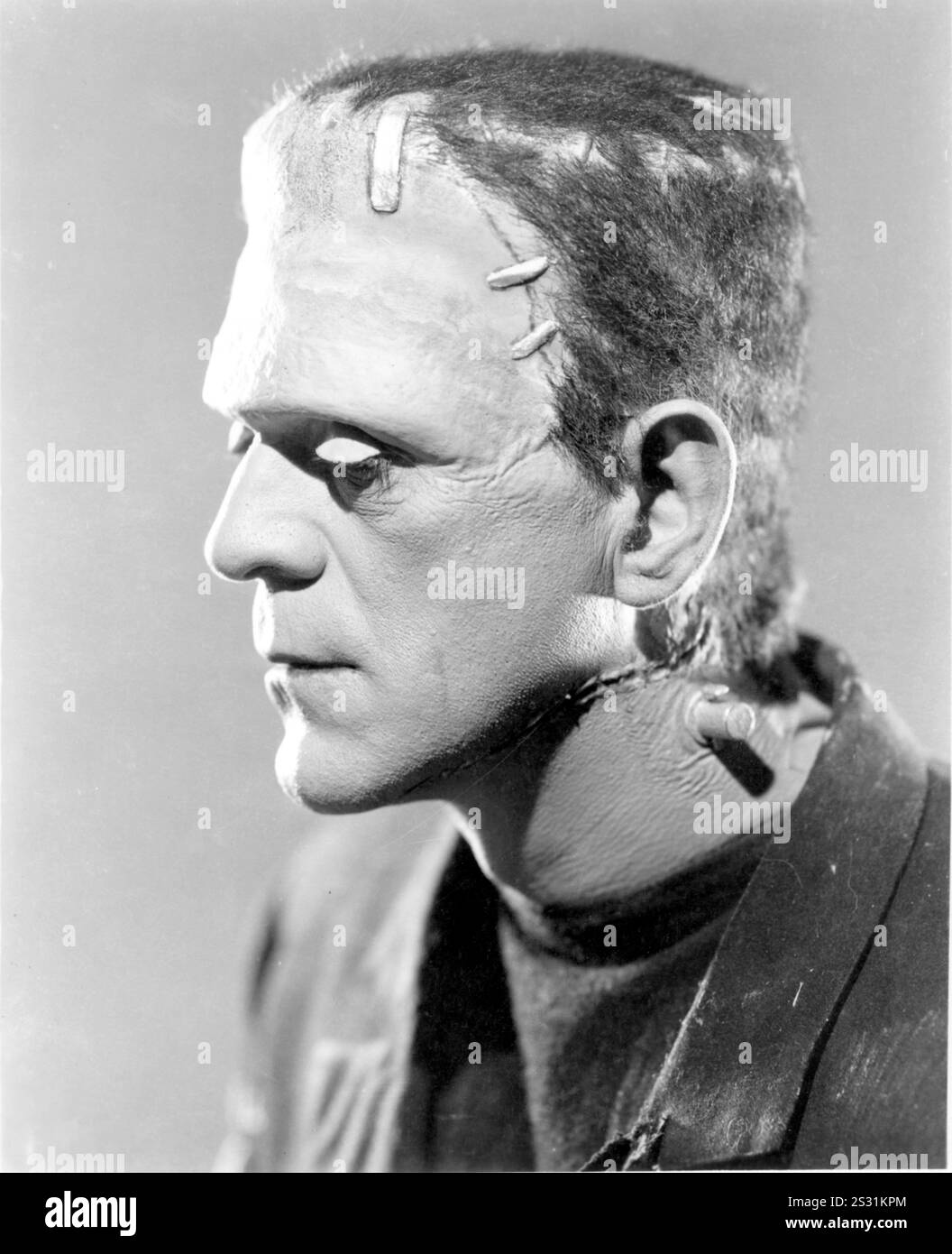 Boris karloff bride frankenstein 1935 Banque de photographies et d ...
