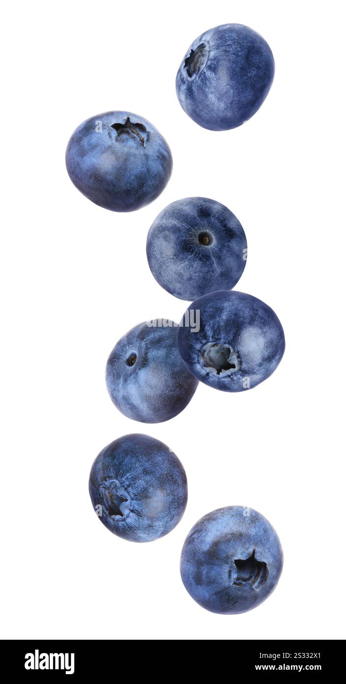 Bleuets mûrs frais dans l'air sur fond blanc Banque D'Images