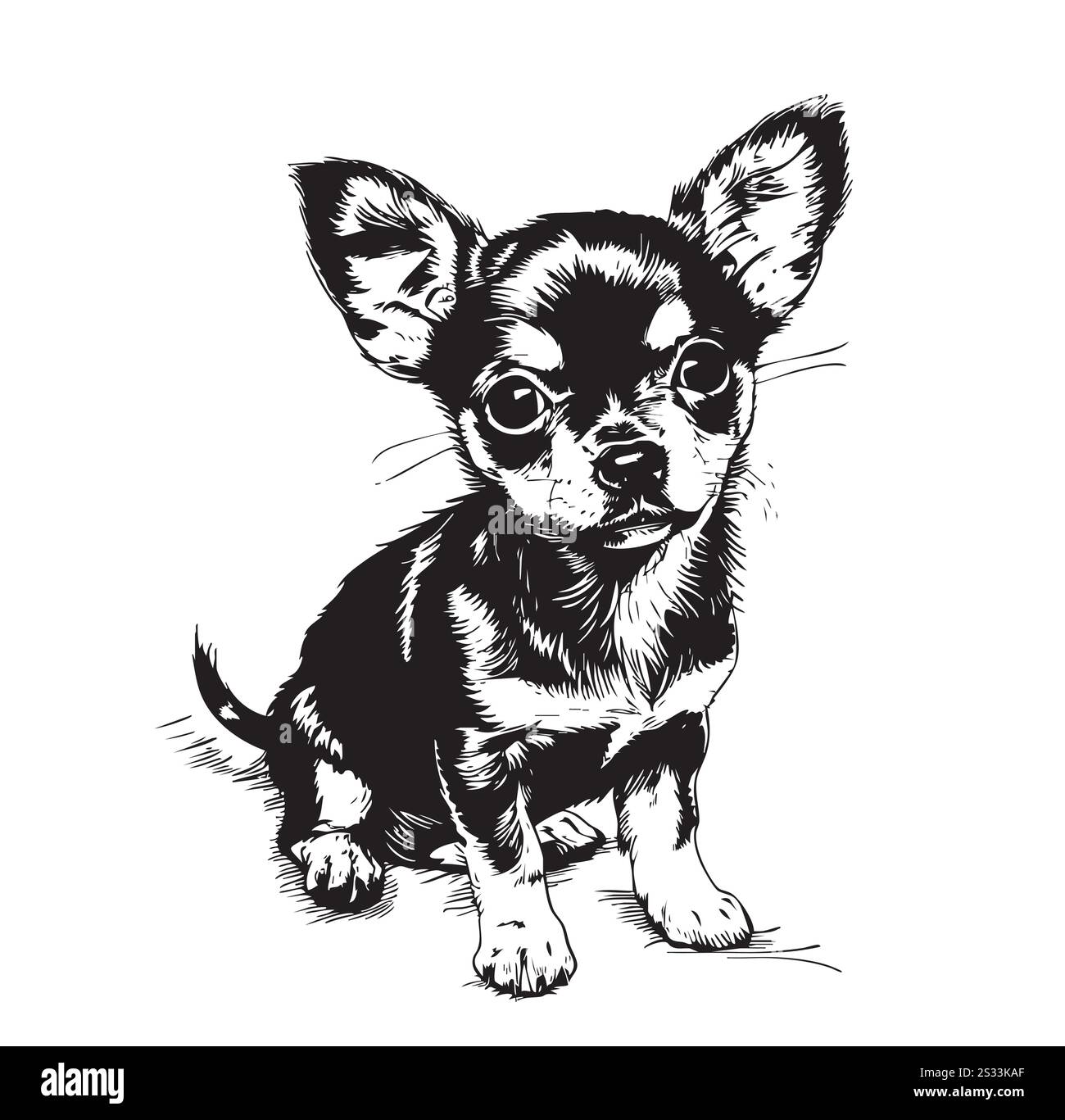 Une illustration de chihuahua dans le style croquis noir et blanc. Chien canin sac à main, illustration mignonne, dessiné à la main dans un style croquis. Illustration de Vecteur