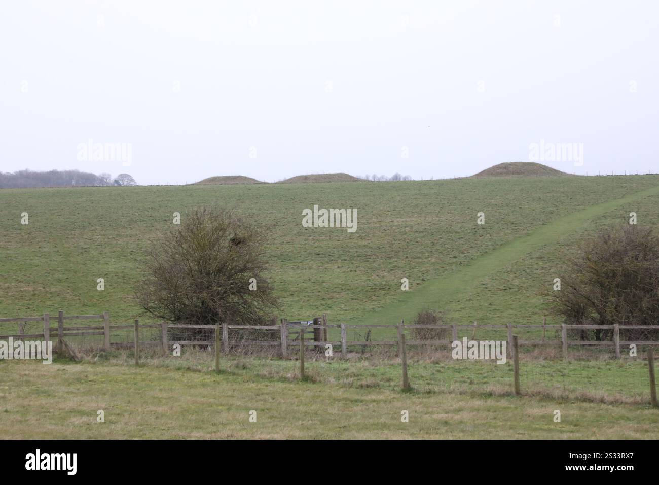 Cursus Barrows, près de Stonehenge Banque D'Images