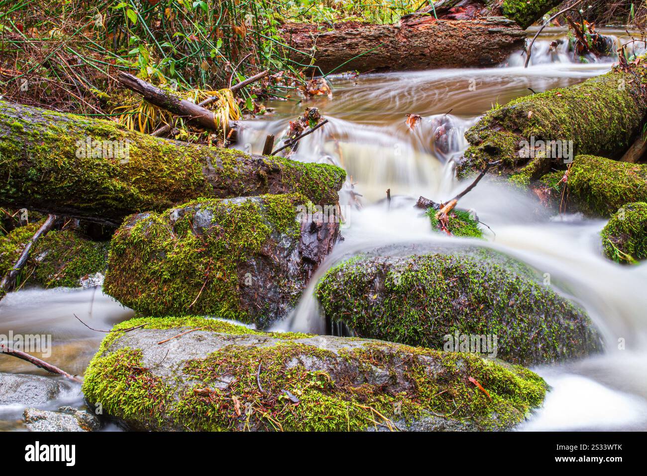 Petites cascades en bas de Wagner Creek Banque D'Images