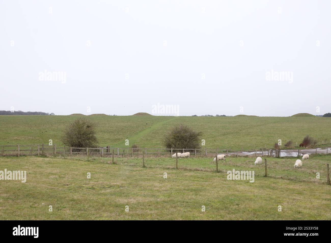 Cursus Barrows, près de Stonehenge Banque D'Images