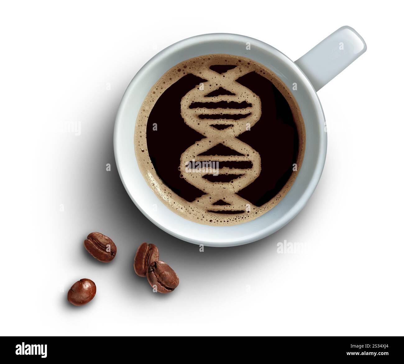 Café et longévité ou bienfaits pour la santé en tant que riche source d'antioxydants pour combattre le stress oxydatif et l'inflammation pour la santé de l'ADN aidant à ralentir Banque D'Images