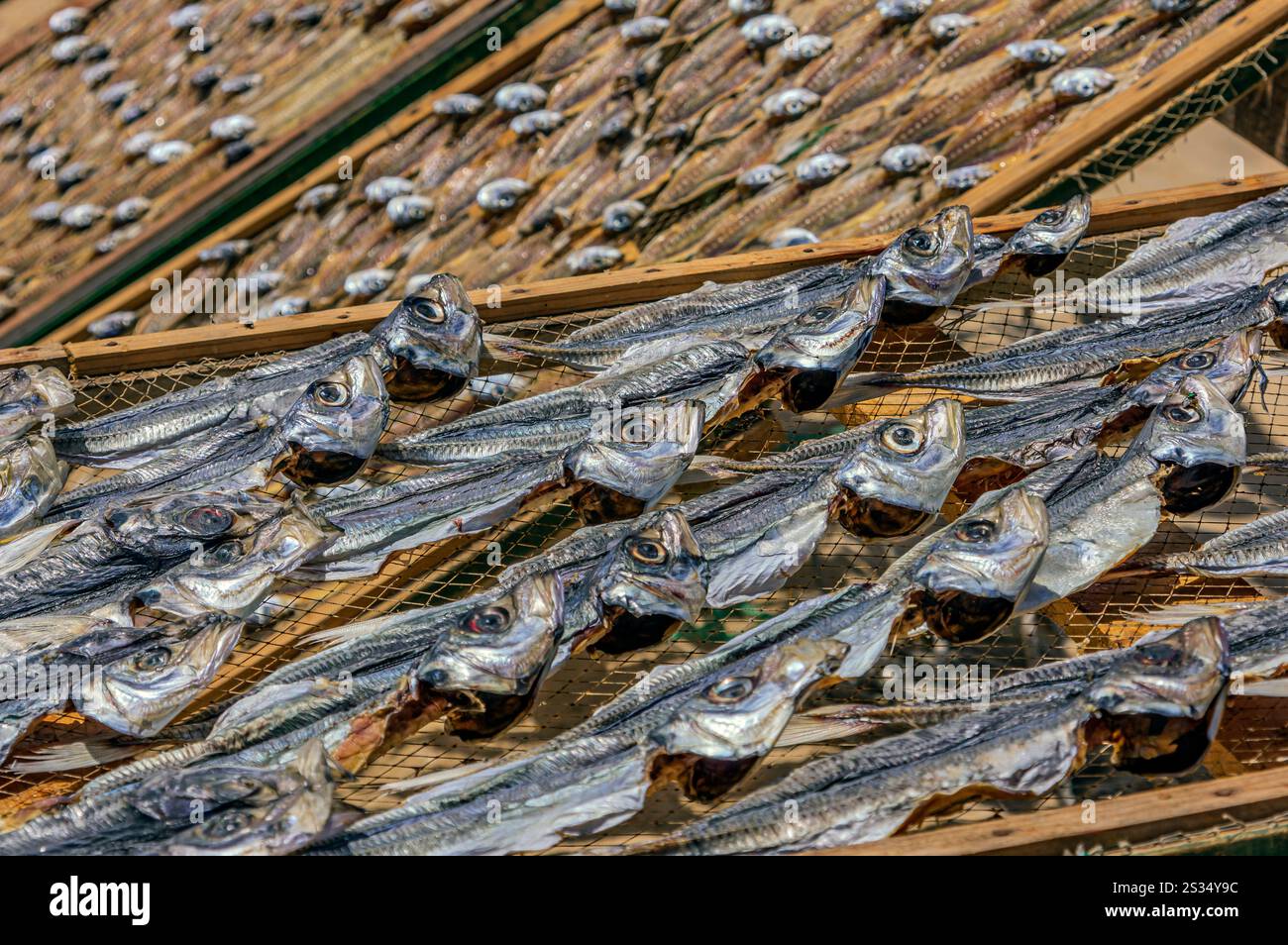 Nazaré est une ville portugaise sur l'océan Atlantique dans la sous-région Oeste de la région Centro et la province historique d'Estrémadure, à environ 100 km Banque D'Images