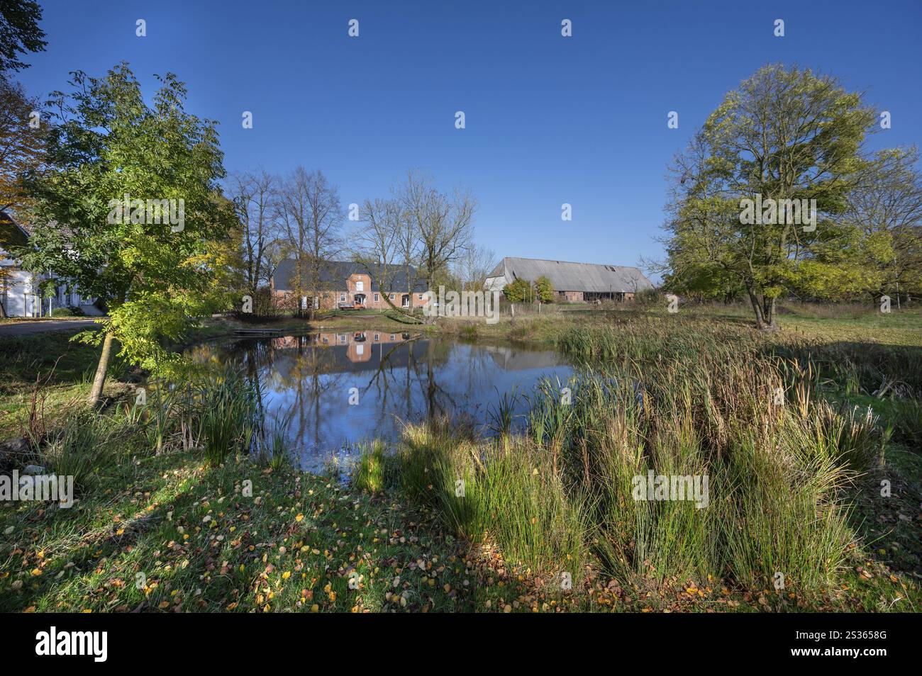 Domaine d'Othenstorf avec ancienne écurie et grande grange, construite vers 1900, en face de l'étang de feu, Othenstorf près de Rehna, Mecklembourg-Poméranie occidentale, G. Banque D'Images