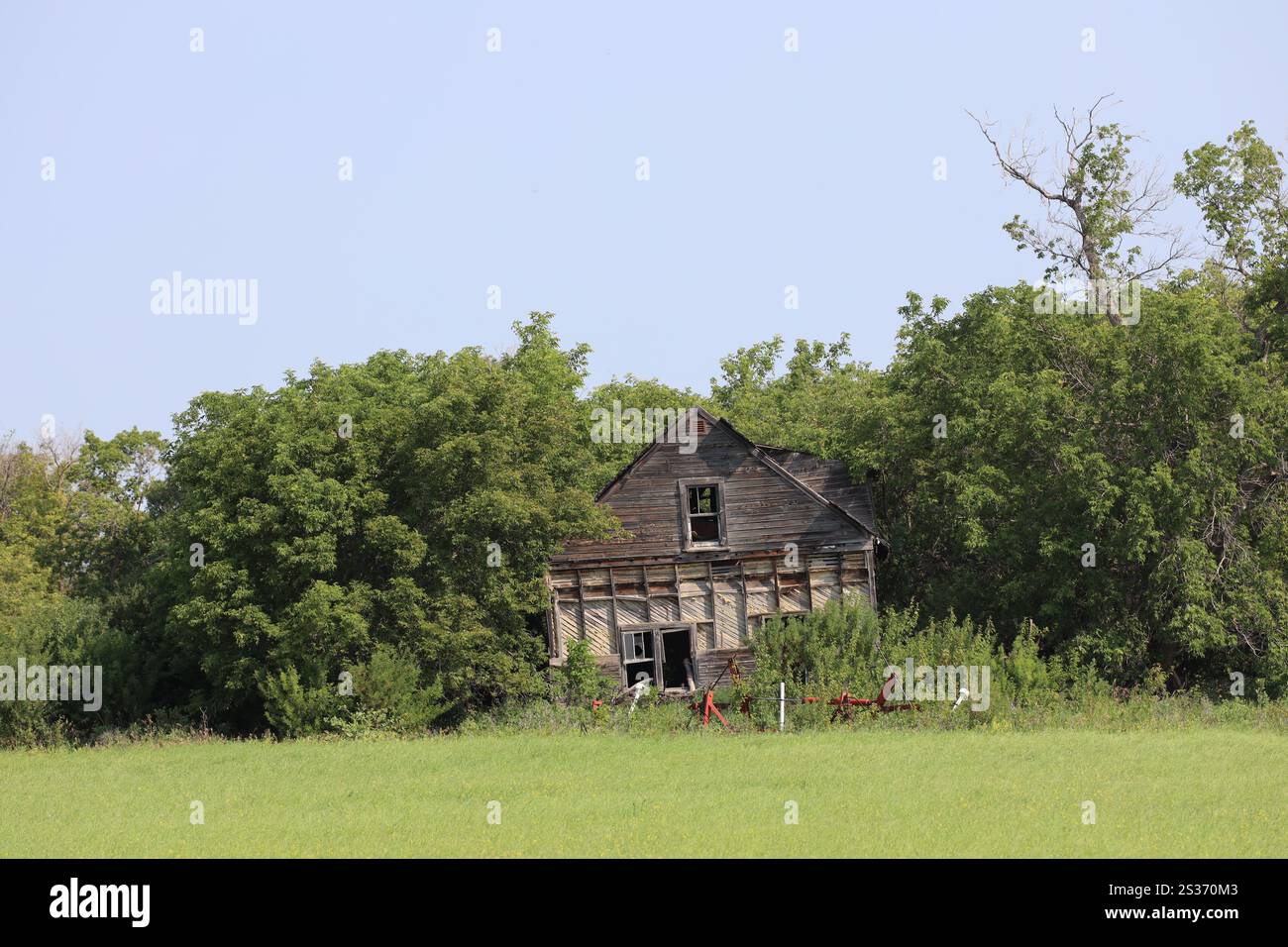 ferme rurale abandonnée progressivement engloutie dans la forêt et l'herbe Banque D'Images