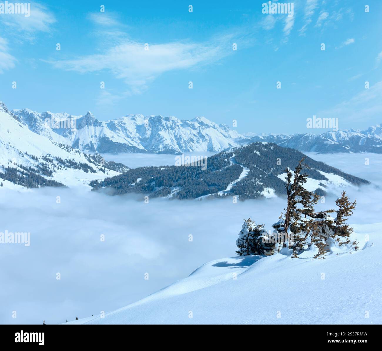 Paysage de montagne Hiver Matin de nuages dans la vallée ci-dessous (Hochkoenig région, Autriche) Banque D'Images