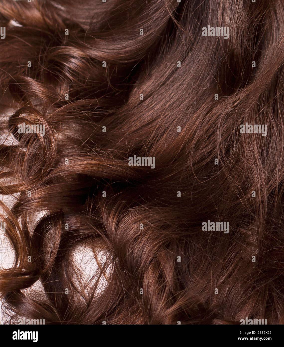 cheveux de beauté gros plan Banque D'Images