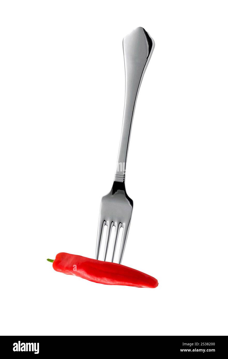 piment fort sur fourchette isolé sur fond blanc. piment fort sur fourchette isolé Banque D'Images