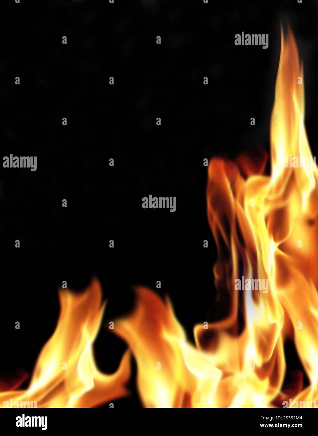 Gros plan du feu et des flammes sur un fond noir. Gros plan du feu et des flammes Banque D'Images