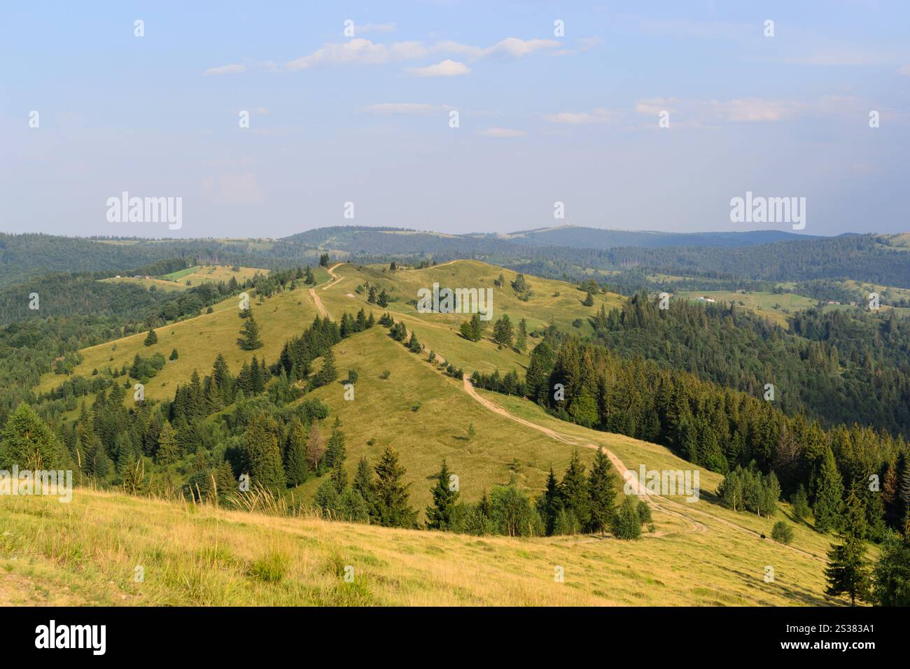 Sentier nature de montagne entre prairies et paysage forestier. Photo nature. Sentier nature de montagne entre prairies et paysage forestier Banque D'Images