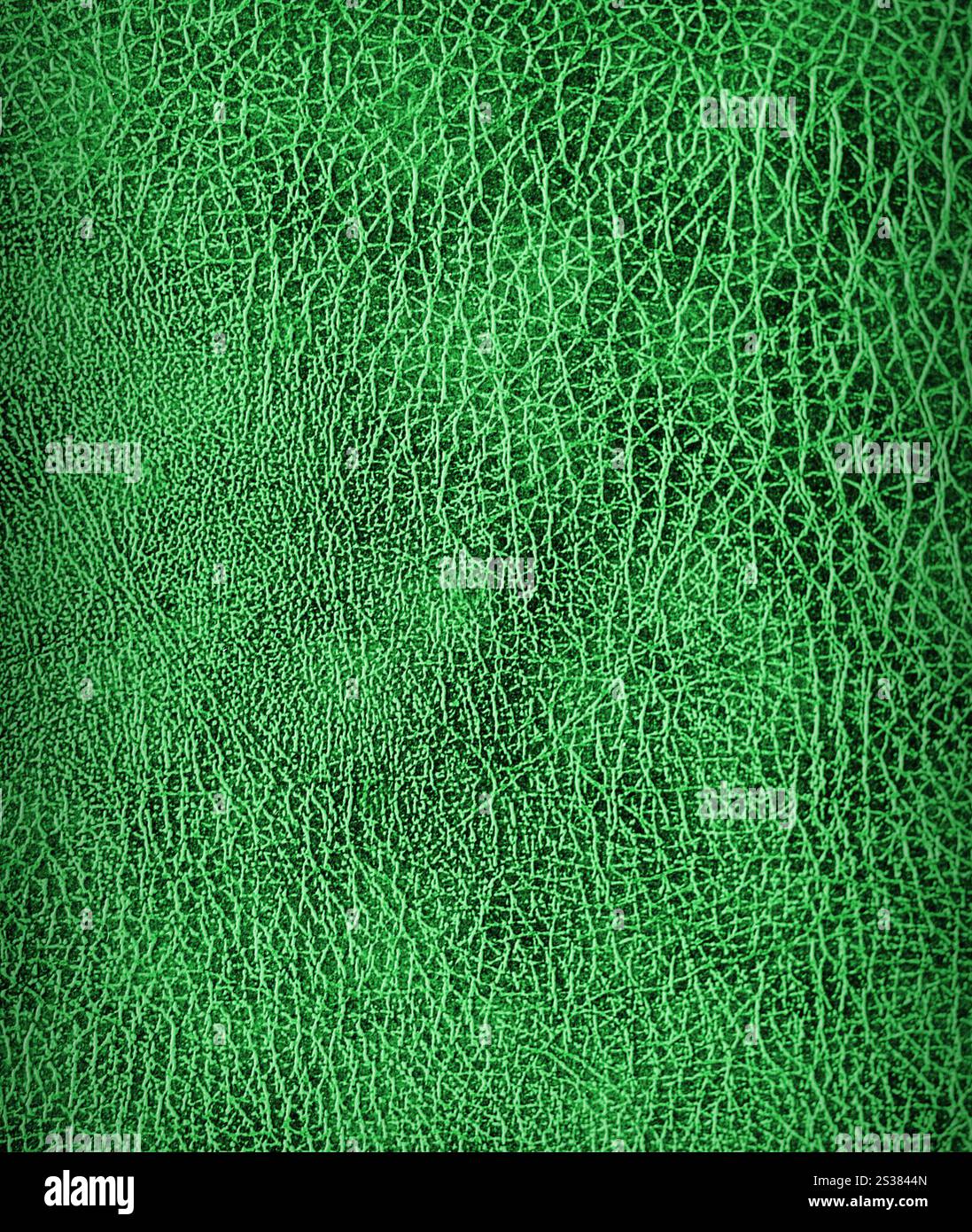 Fond en cuir de croccodile vert Banque D'Images