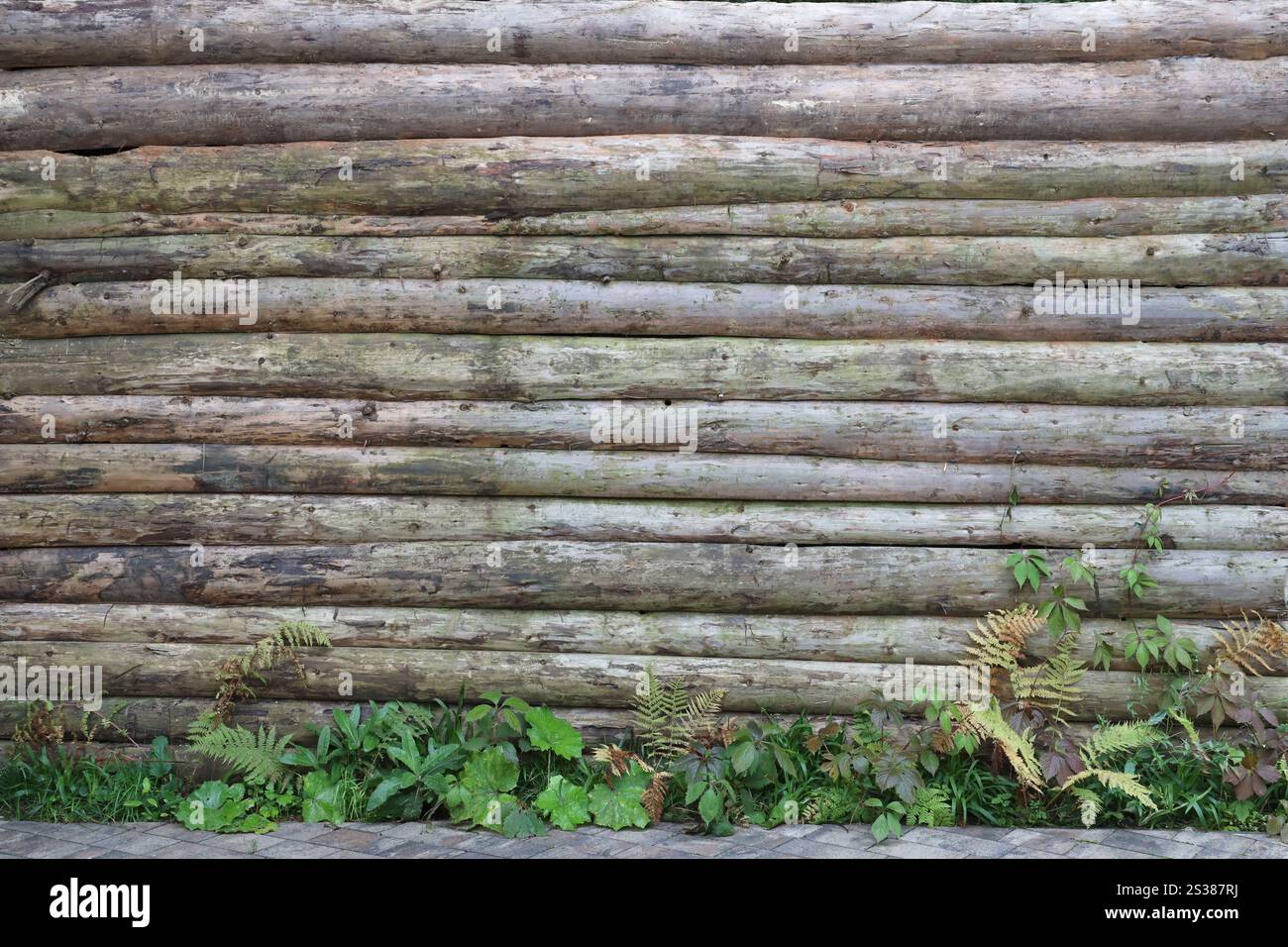 Cabane en rondins ou grange mur écorché non peint fond horizontal texturé gros plan. Cabane en rondins ou grange non peinte mur écorcé texturé horizontal Banque D'Images