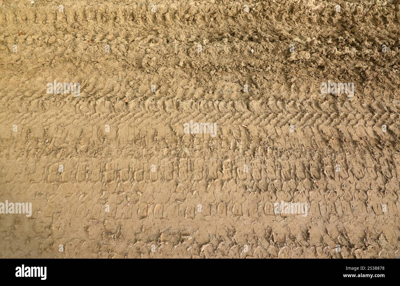 Voie de roue sur boue. Traces d'un tracteur ou d'une lourde voiture hors route sur boue brune dans un pré humide. Voie de roue sur boue. Traces d'un tracteur ou d'un véhicule tout-terrain lourd Banque D'Images