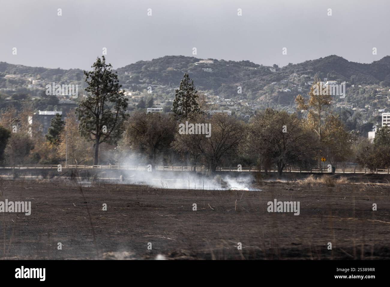 Les pompiers combattent plusieurs feux de forêt à Los Angeles, notamment les incendies de Palisades, Eaton, Hurst et Sunset, provoquant des évacuations, des destructions, Banque D'Images