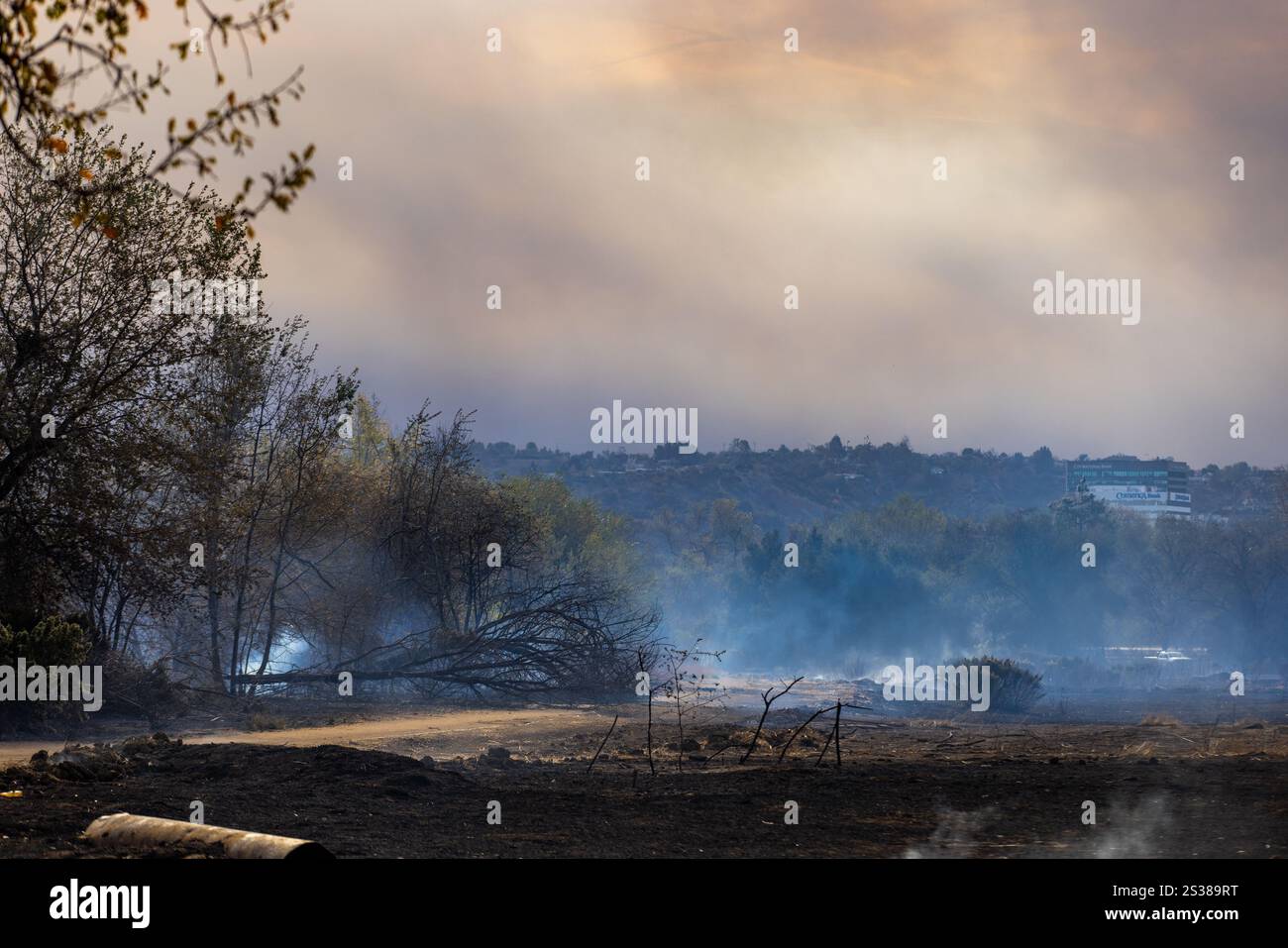 Les pompiers combattent plusieurs feux de forêt à Los Angeles, notamment les incendies de Palisades, Eaton, Hurst et Sunset, provoquant des évacuations, des destructions, Banque D'Images