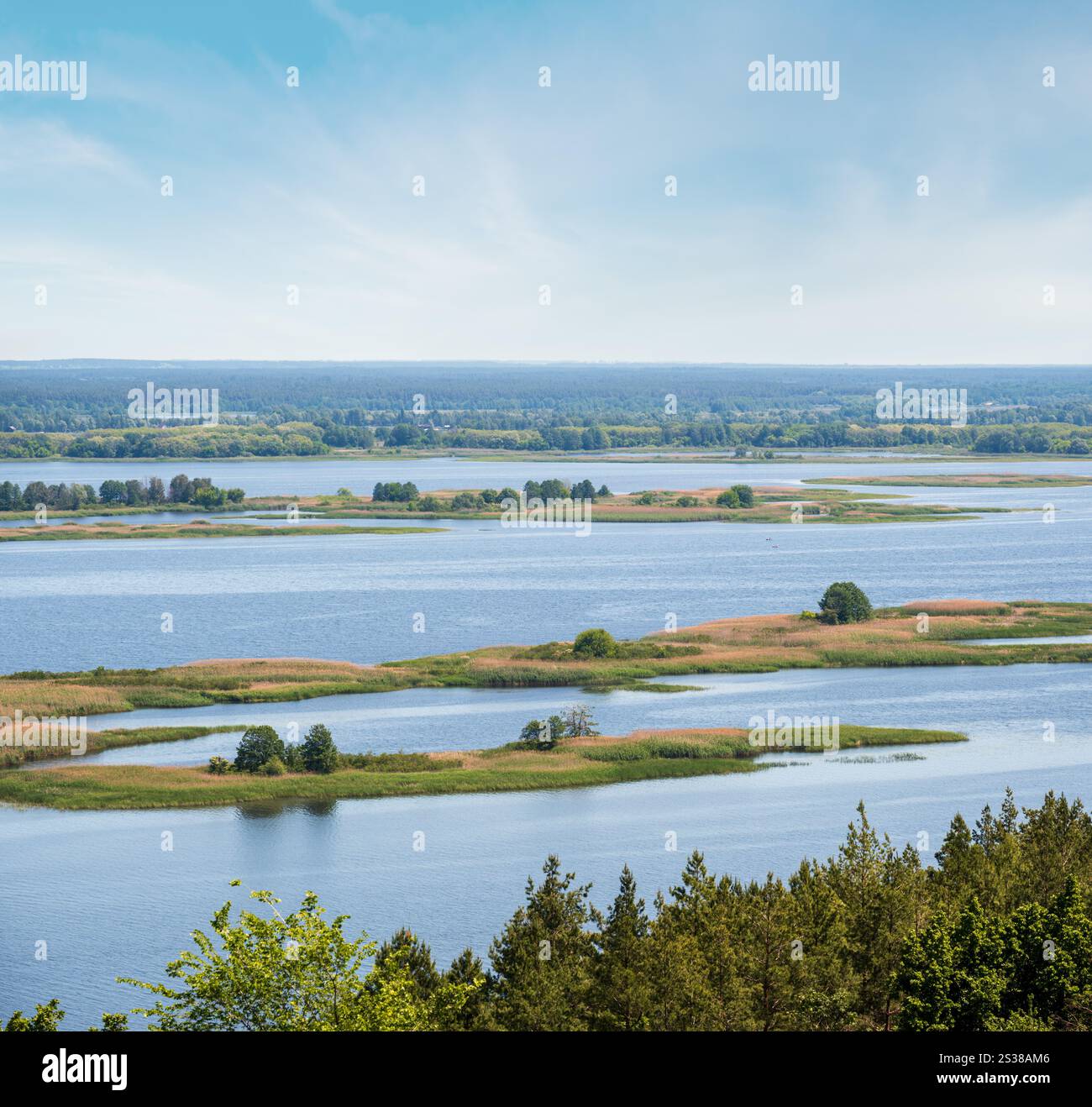 Paysage estival des rives de la rivière Dnipro, réservoir d'eau de Kaniv, région de Kiev, Ukraine. Banque D'Images