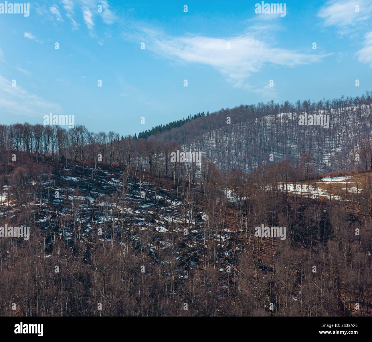Début du printemps Carpates paysage du plateau avec la neige sur la pente, l'Ukraine. Banque D'Images