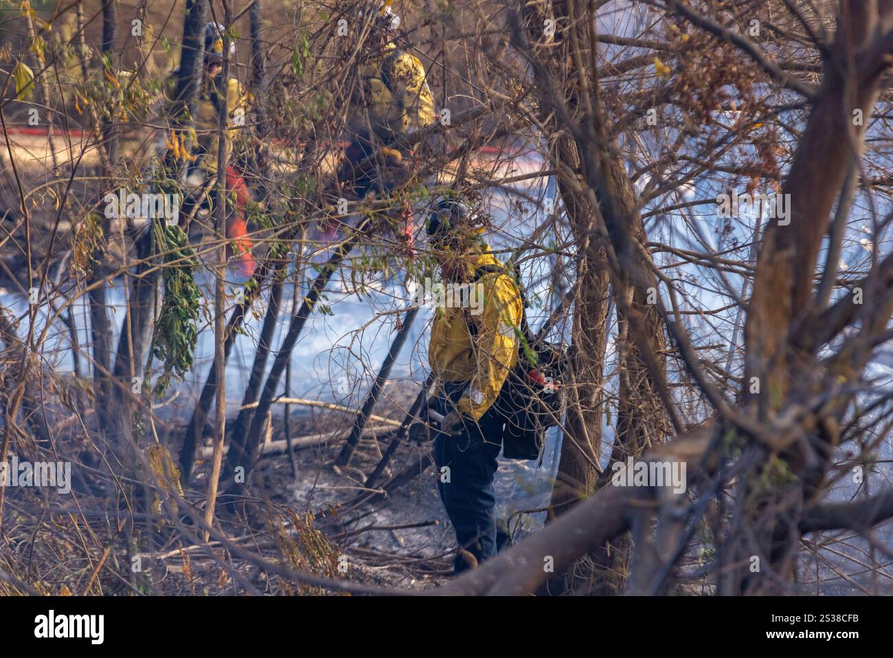 Les pompiers combattent plusieurs feux de forêt à Los Angeles, notamment les incendies de Palisades, Eaton, Hurst et Sunset, provoquant des évacuations, des destructions, Banque D'Images