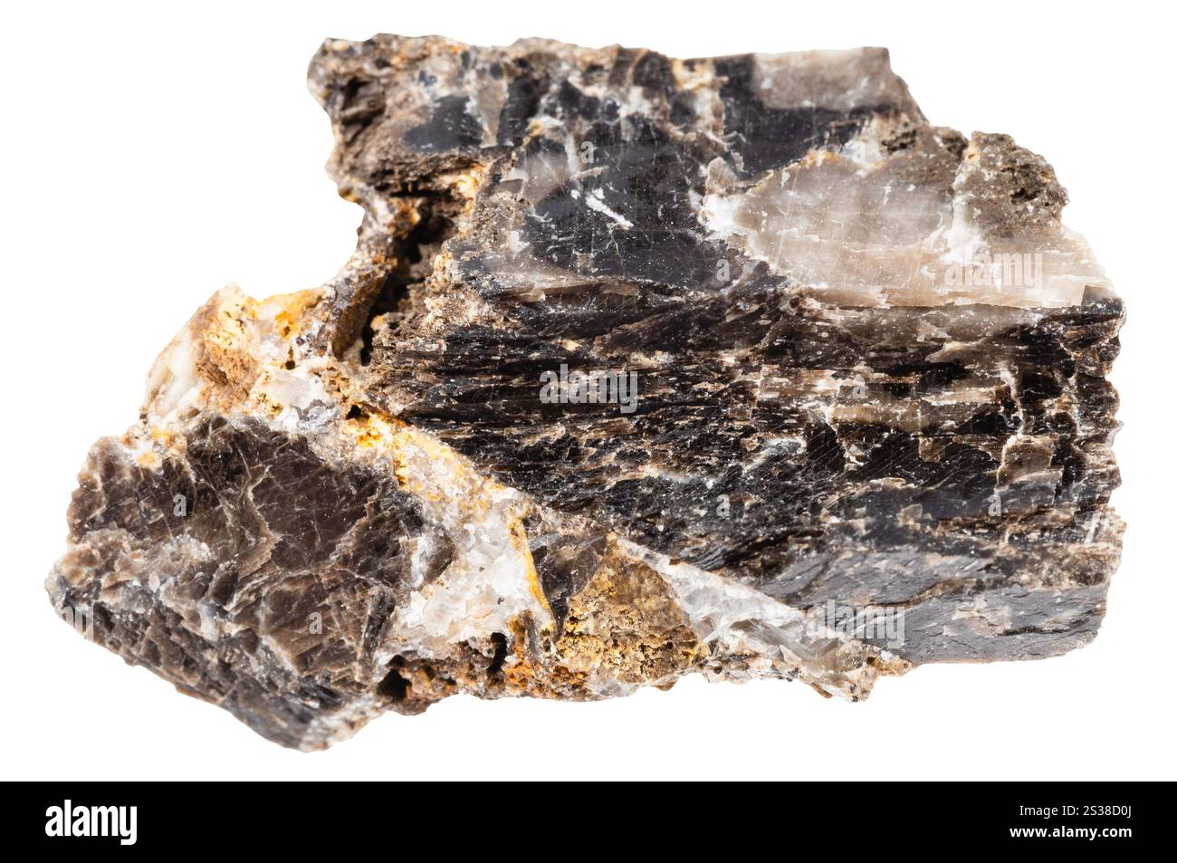 Gros plan de l'échantillon de pierre naturelle de la collection géologique - minéral anthraconite non poli isolé sur fond blanc de Crimée Banque D'Images