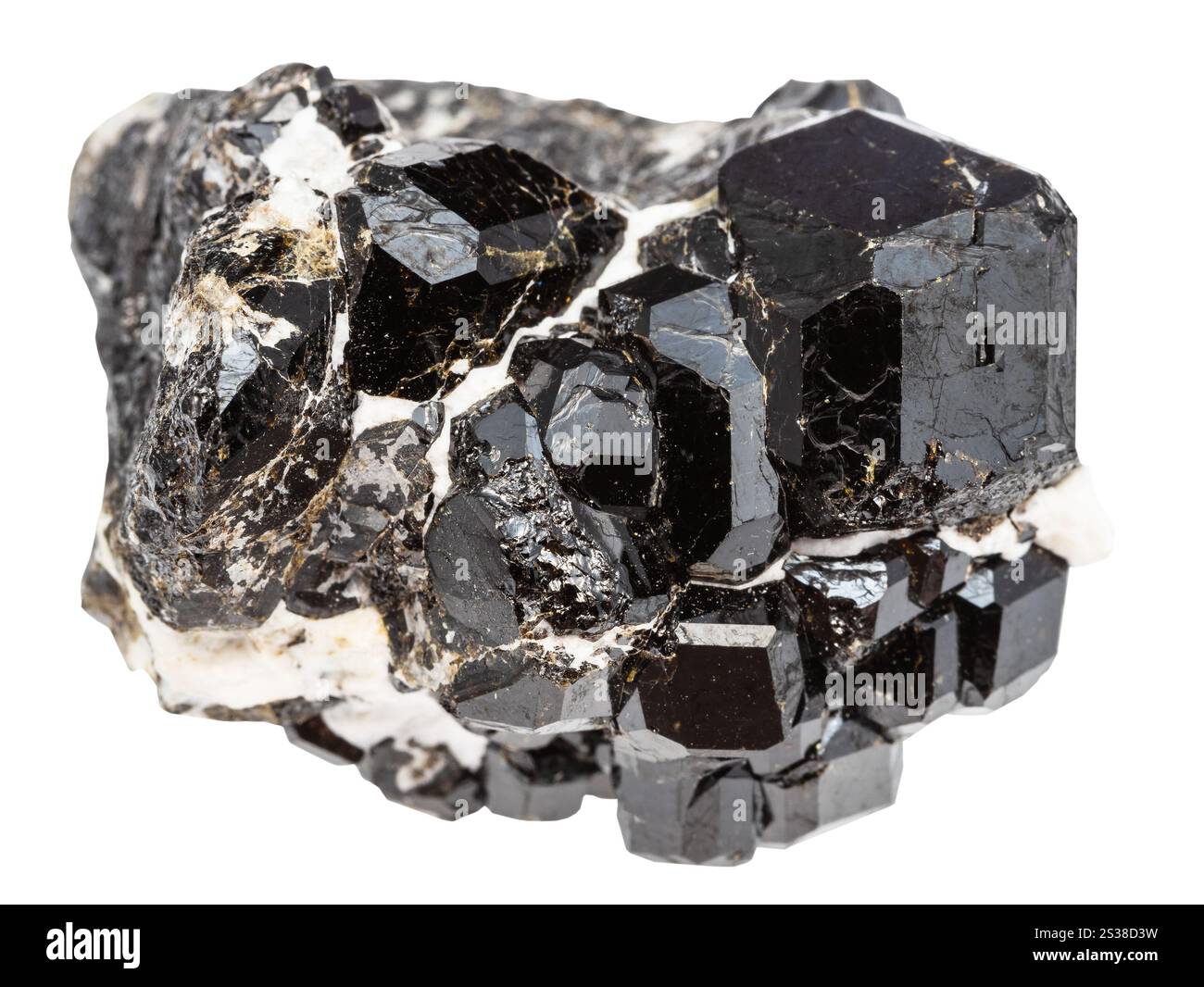 gros plan de l'échantillon de pierre naturelle de la collection géologique - r cluster de mélanite andradite grenats noirs isolés sur fond blanc de Banque D'Images