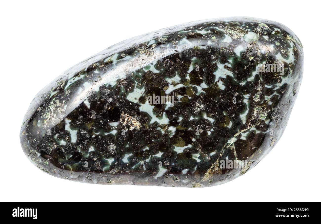 Gros plan de l'échantillon de pierre naturelle de la collection géologique - minéral de gabbronorite poli isolé sur fond blanc de Carélie Banque D'Images