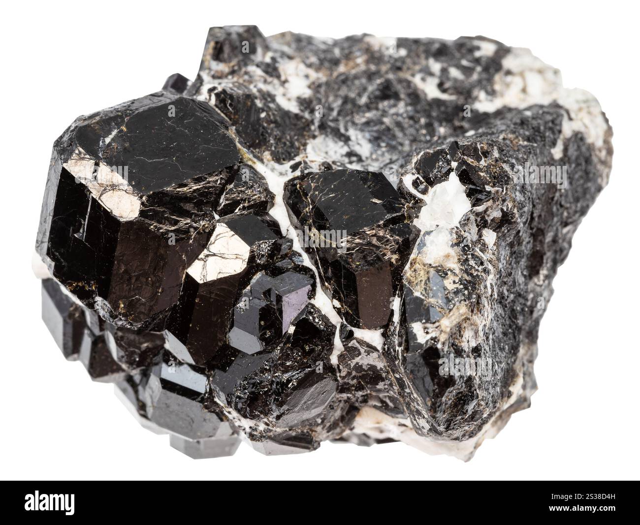 gros plan de l'échantillon de pierre naturelle de la collection géologique - r matrice de mélanite andradite grenats noirs isolés sur fond blanc de Banque D'Images