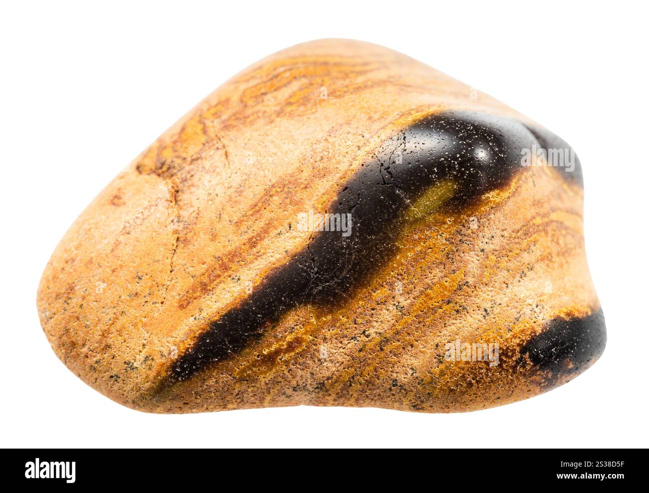 gros plan de l'échantillon de pierre naturelle de la collection géologique - tuf poli (tuffacé) minéral de grès isolé sur fond blanc de Banque D'Images