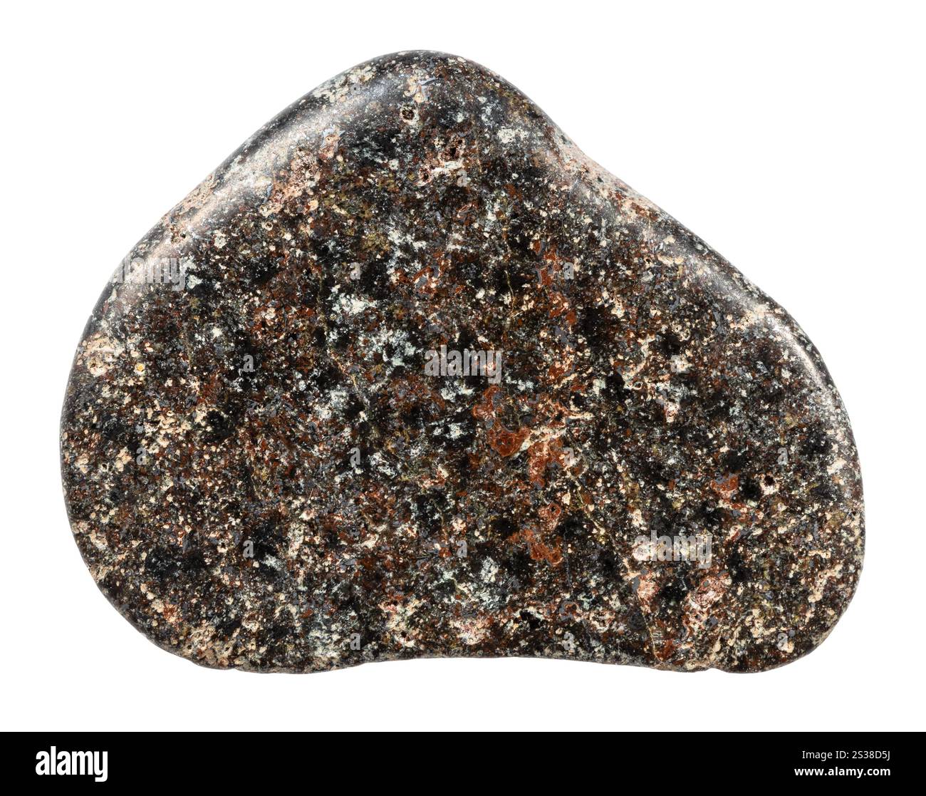 Gros plan de l'échantillon de pierre naturelle de la collection géologique - basalte poli avec minéral hématite isolé sur fond blanc de Carélie Banque D'Images