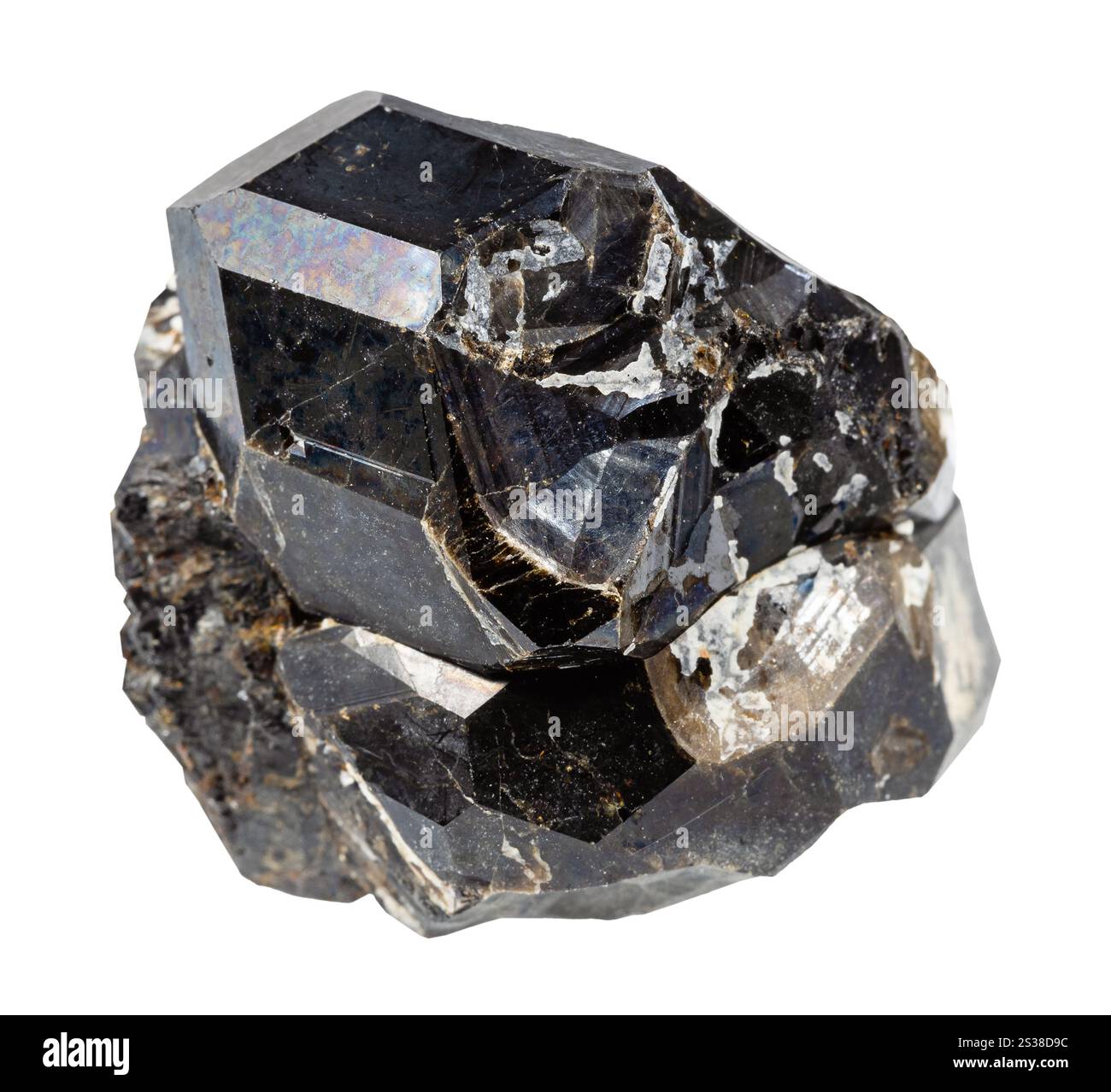 Gros plan de l'échantillon de pierre naturelle de la collection géologique - minéral grenat andradite noir rugueux isolé sur fond blanc d'Odikhincha Banque D'Images