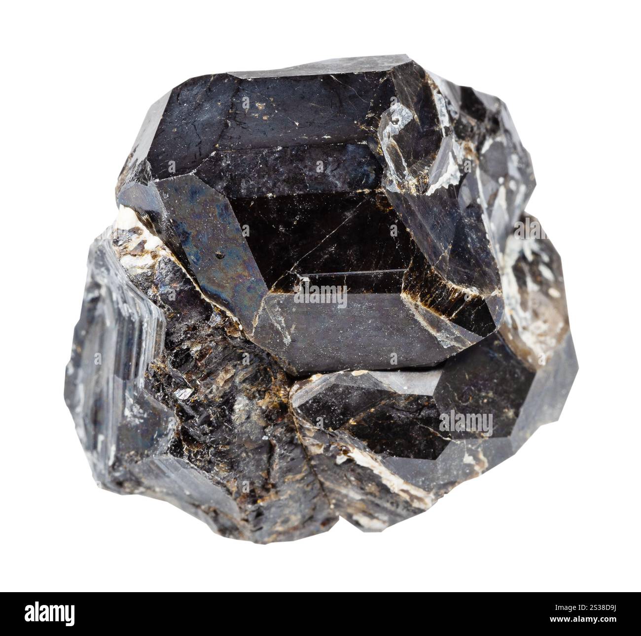 Gros plan de l'échantillon de pierre naturelle de la collection géologique - minéral brut de grenat andradite noir isolé sur fond blanc d'Odikhincha Banque D'Images