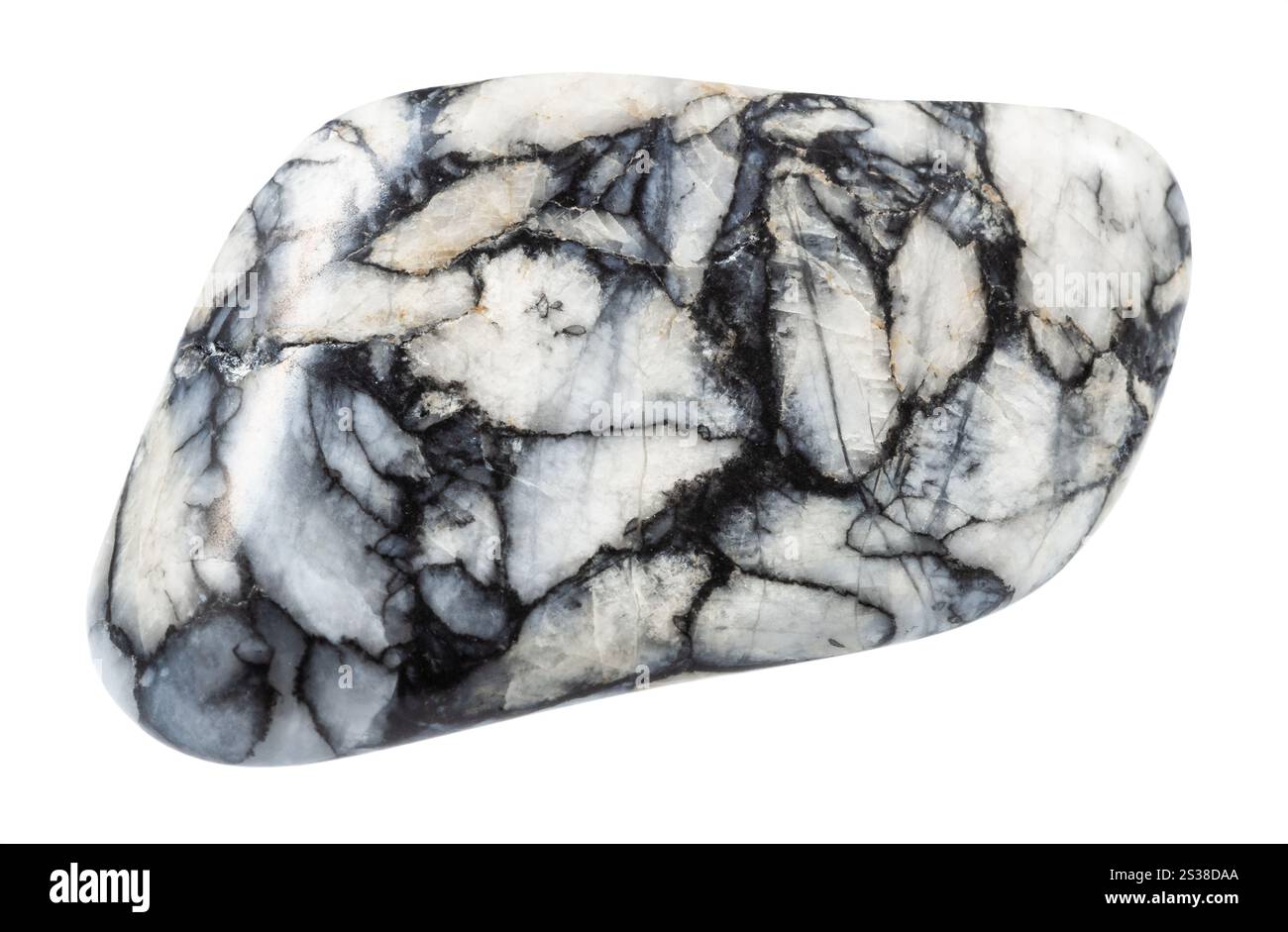 Gros plan de l'échantillon de pierre naturelle de la collection géologique - pinolite minérale polie isolé sur fond blanc de l'Autriche Banque D'Images