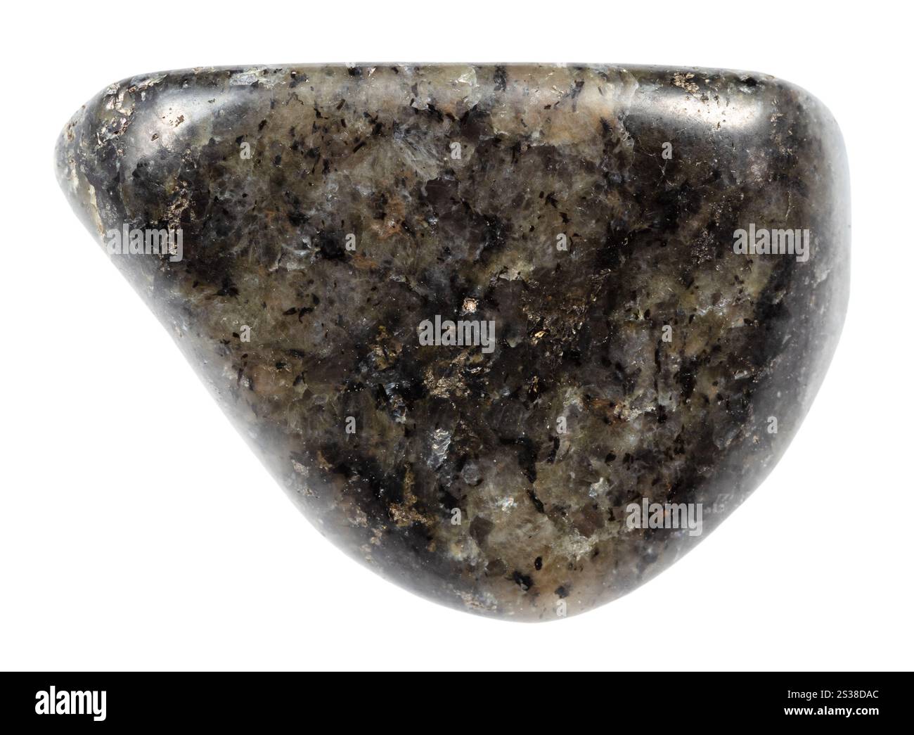 Gros plan de l'échantillon de pierre naturelle de la collection géologique - minéral de diorite poli isolé sur fond blanc de Carélie Banque D'Images