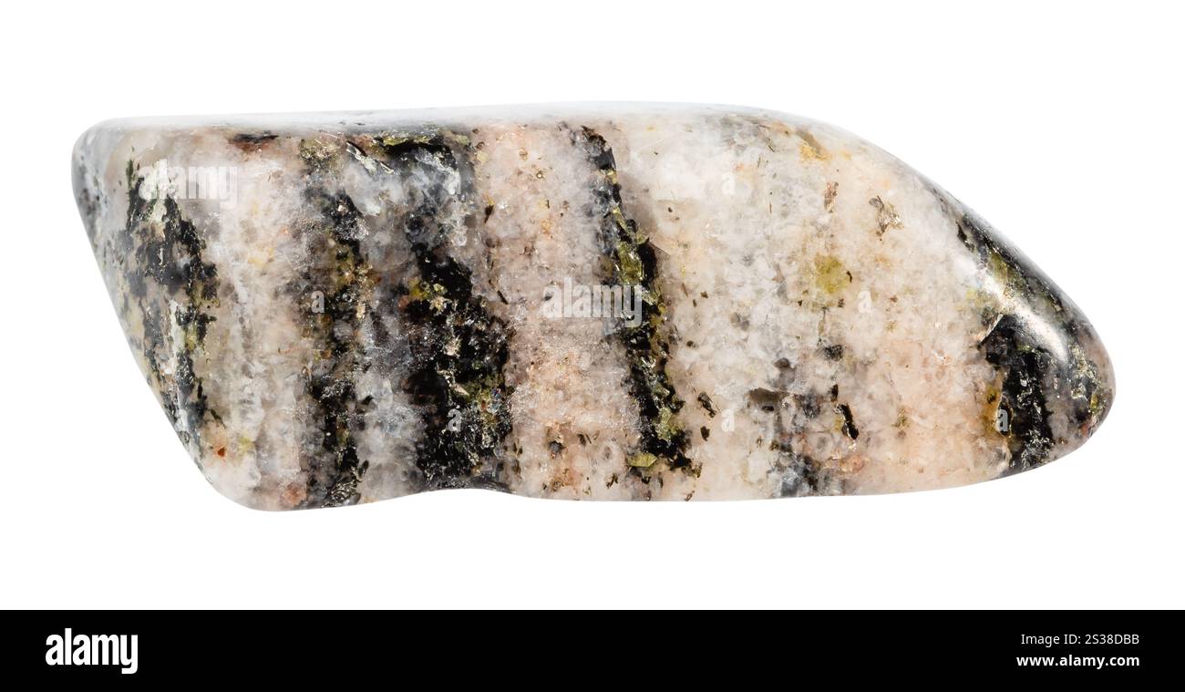 Gros plan de l'échantillon de pierre naturelle de la collection géologique - gneiss minéral tondé isolé sur fond blanc de Carélie Banque D'Images