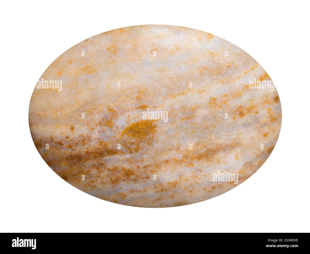 gros plan de l'échantillon de pierre naturelle de la collection géologique - cabochon de minéral de travertin poli isolé sur fond blanc Banque D'Images