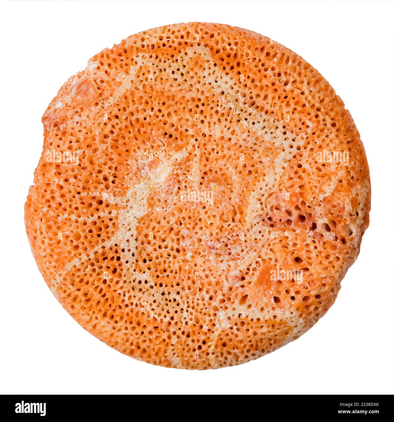 perle ronde de corail orange éponge isolé sur fond blanc Banque D'Images