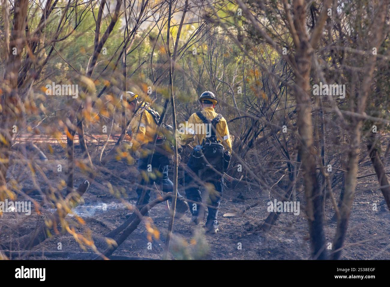 Les pompiers combattent plusieurs feux de forêt à Los Angeles, notamment les incendies de Palisades, Eaton, Hurst et Sunset, provoquant des évacuations, des destructions, Banque D'Images