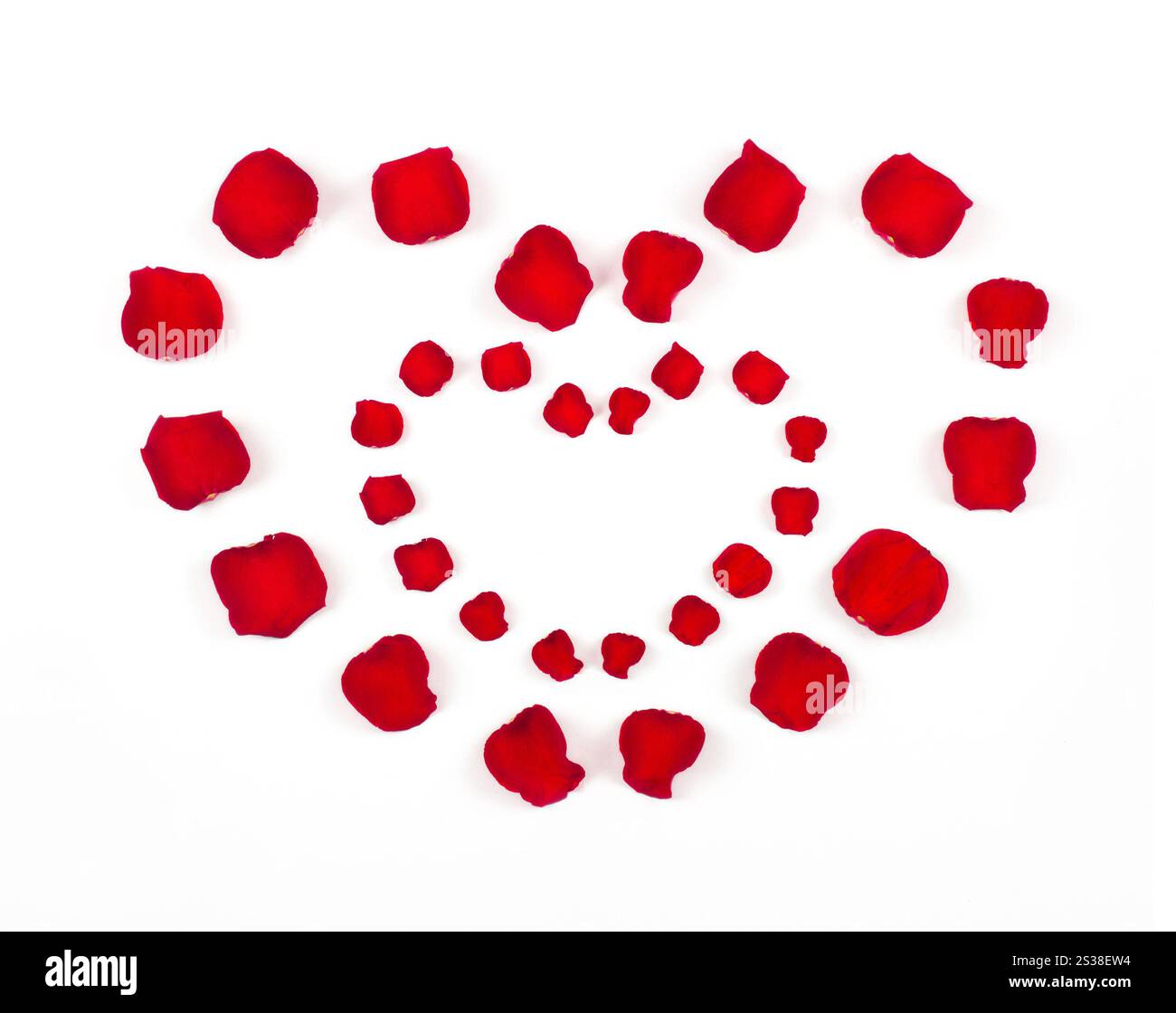beau coeur de pétales de rose rouge isolé sur blanc. coeur de pétales de rose rouge Banque D'Images