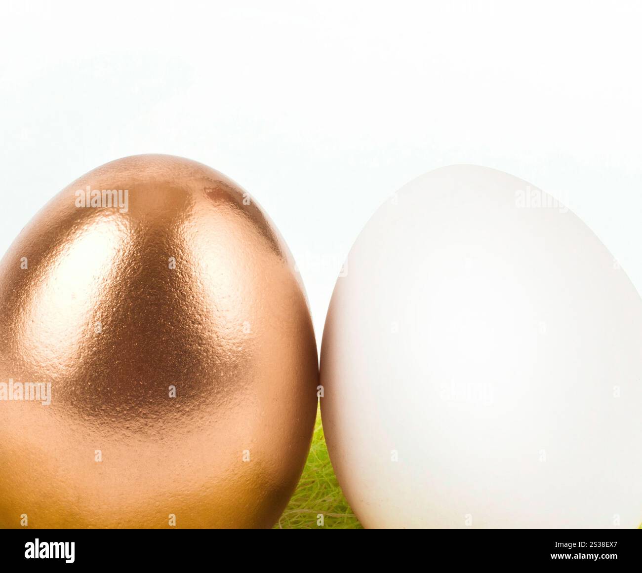 or avec œuf blanc gros plan. or avec oeuf blanc Banque D'Images