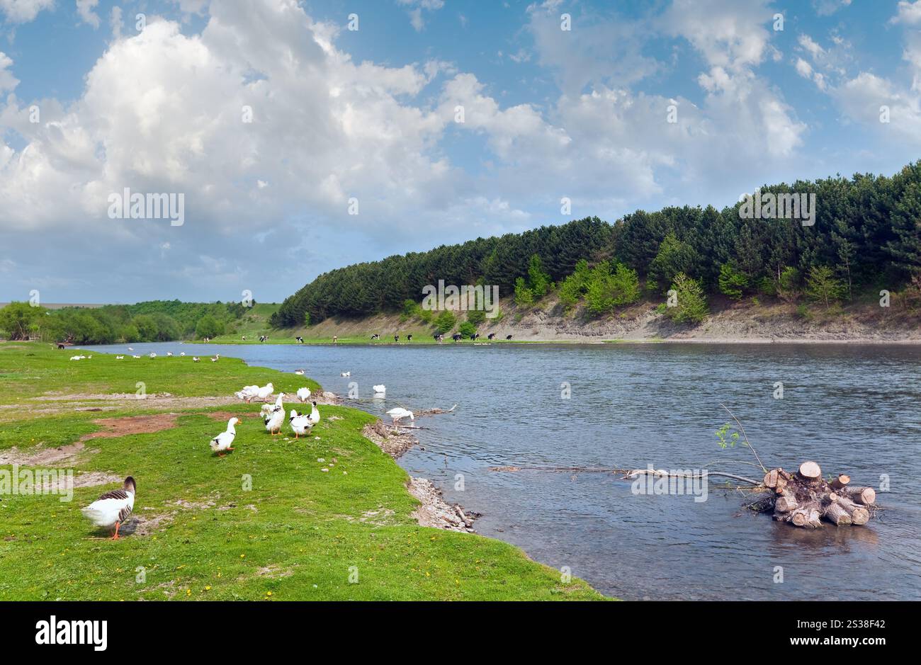 Pays de printemps paysage avec village et rivière ( l'Oblast de Lviv, Ukraine) . Banque D'Images
