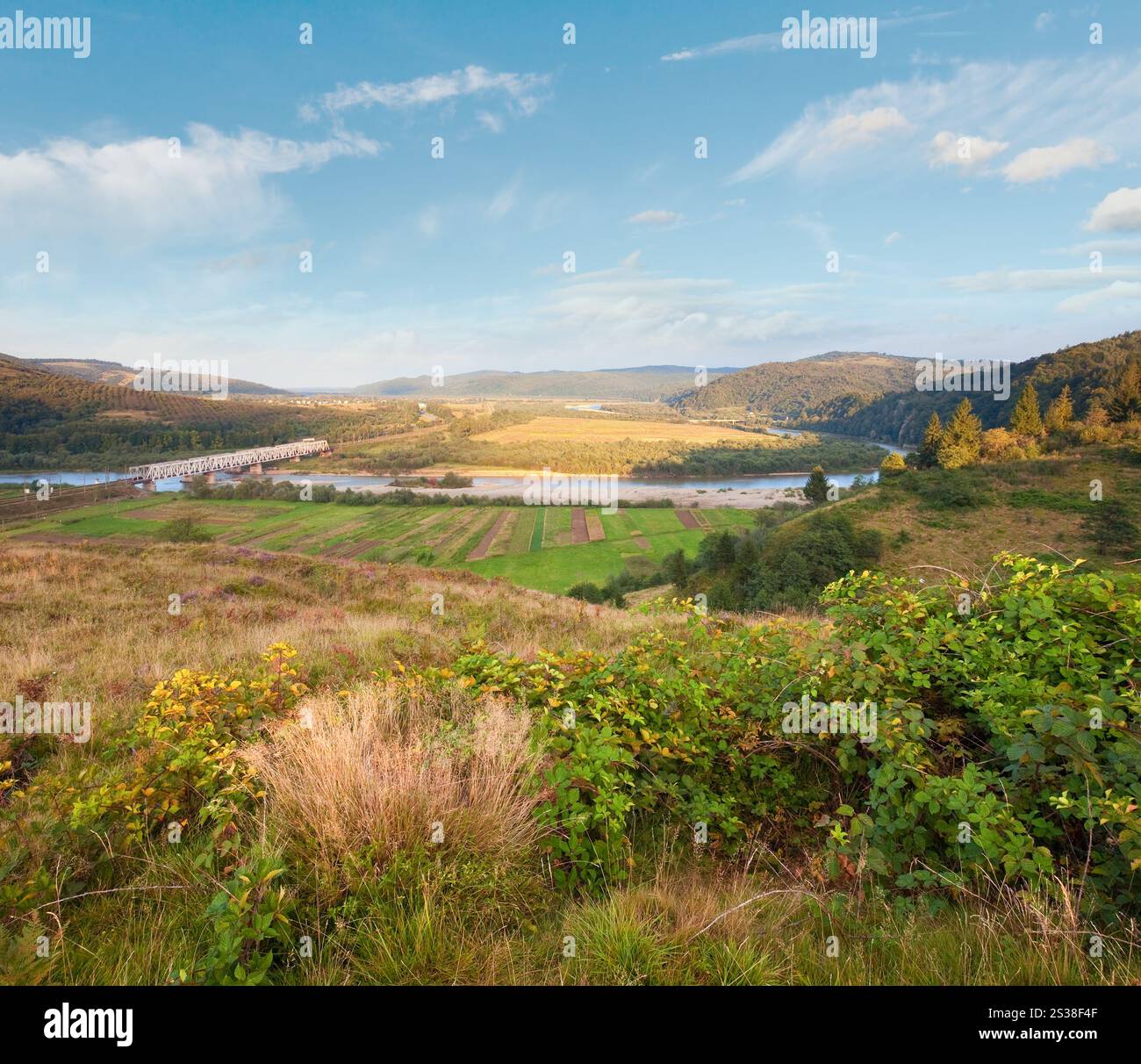 Vue sur la vallée de la rivière né d'été (Oblast de Lviv, en Ukraine). Banque D'Images