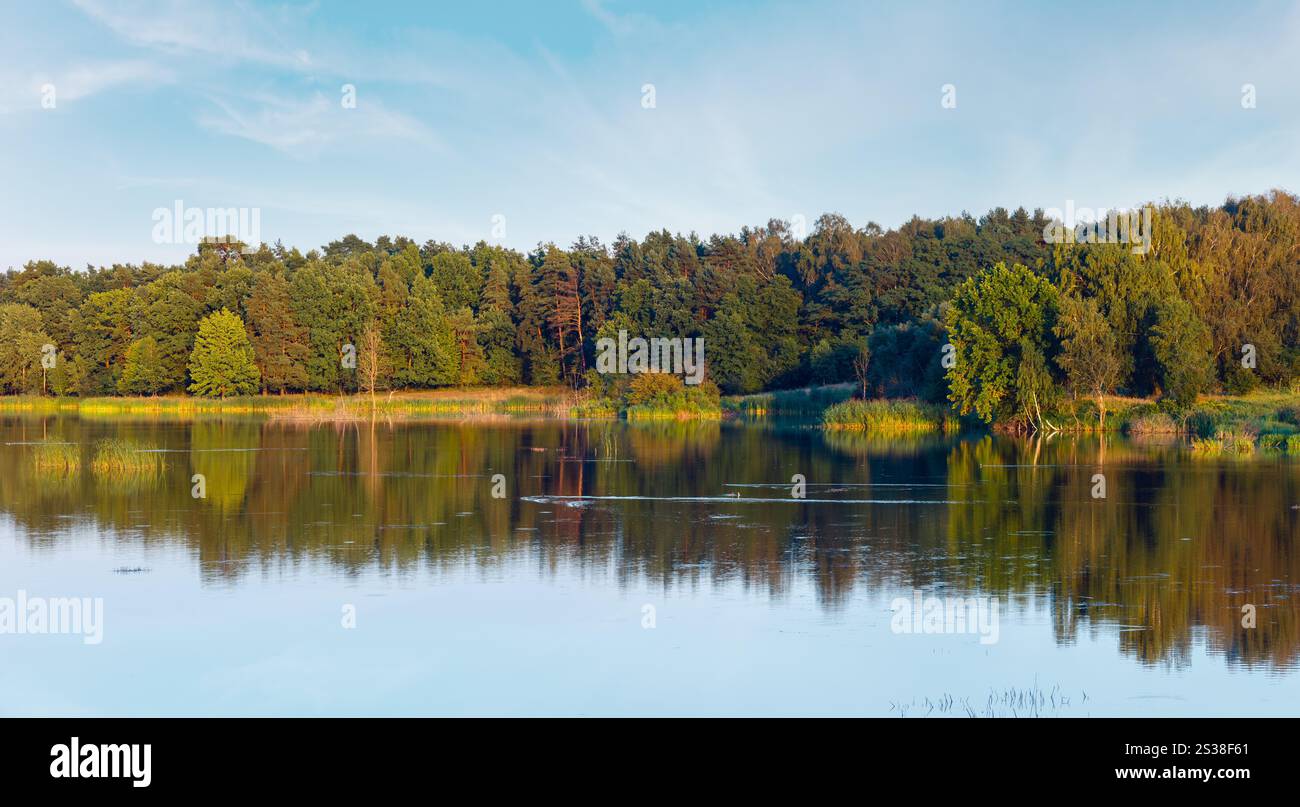 Paysage lacustre d'été en soirée avec des reflets de plantes sur la surface de l'eau (près de la colonie de Shklo, oblast de Lviv, Ukraine). Deux coups de piqûre Banque D'Images